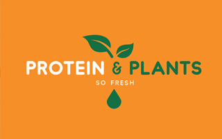 Protein & Plants